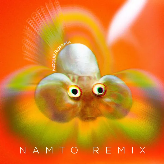 No Quiero Fama - NAMTO Remix