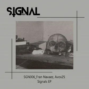 Signals by Avox25