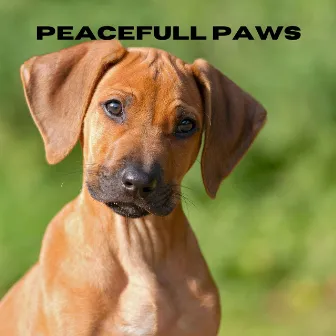 Peaceful Paws by Jack Christiansen