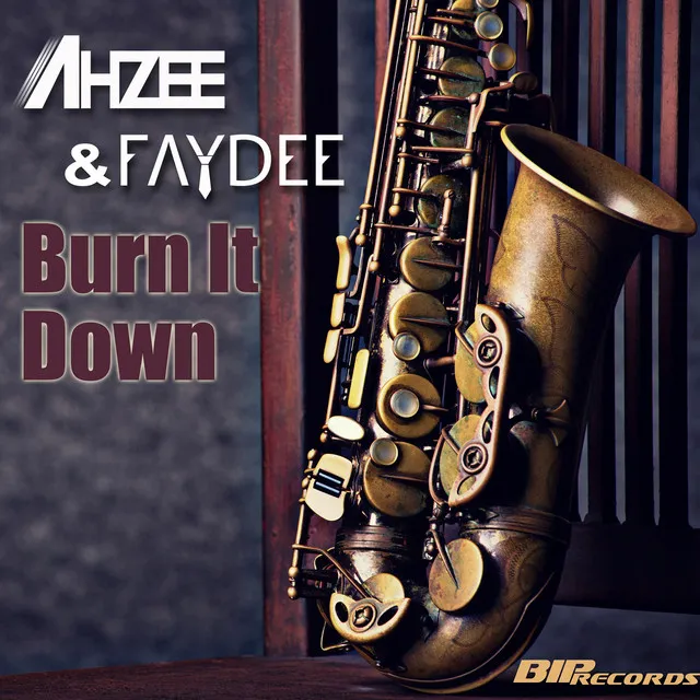 Burn It Down - Radio Edit