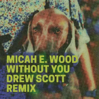 Without You (Drew Scott Remix) by Drew Scott