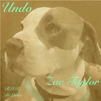 Undo by Zac Taylor