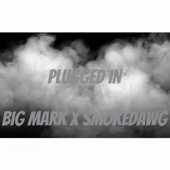 Plugged In by SmokeDawg Beez