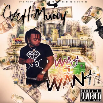 Wat I Want by Cash Muny