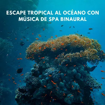 Escape Tropical Al Océano Con Música De Spa Binaural by Ruidos del océano