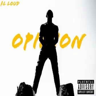 Opinion by Fl Loud