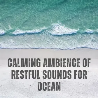 Calming Ambience of Restful Sounds for Ocean by Oceans and Oceans