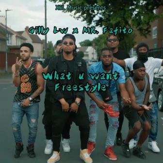 WHAT U WANT FREESTYLE by Gilly LW