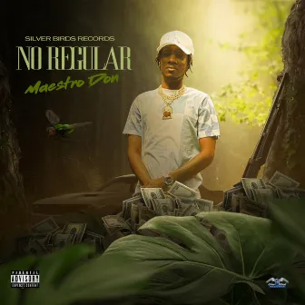 No Regular by Silverbirds Records