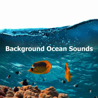 Background Ocean Sounds by H Two O