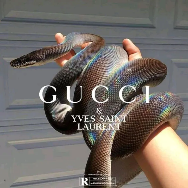 Gucci YSL