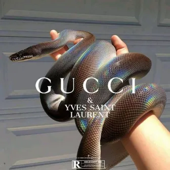 Gucci YSL by A.M.G YoungProdigy