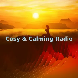 Cosy & Calming Radio by Relieve Stress Music Academy