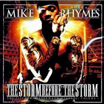 The Strom Before The Storm by Flipmode Squad