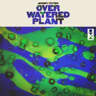 Over-Watered Plant by Jeremy Fetzer