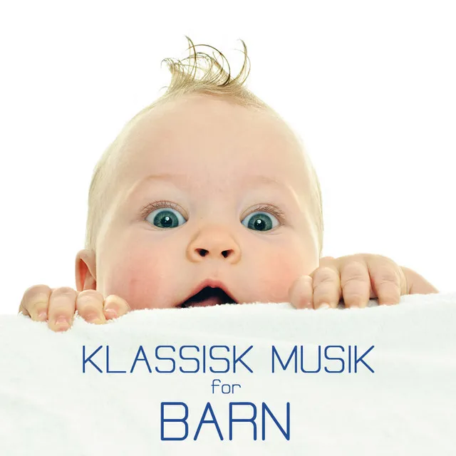 Klassisk Musik Orkester