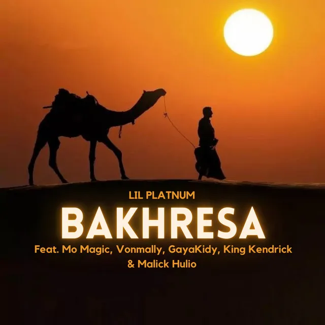 Bakhresa