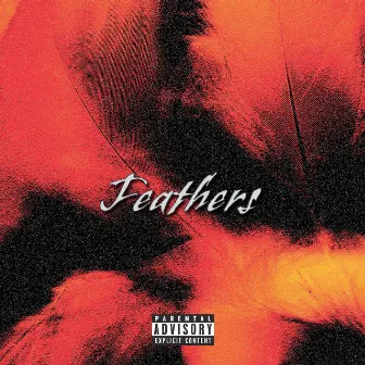 Feathers by Rob $tone