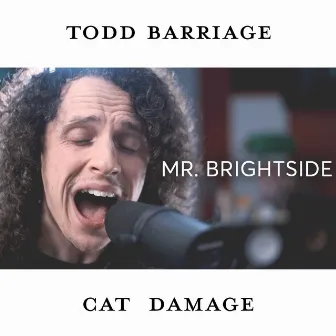 Mr. Brightside by Cat Damage