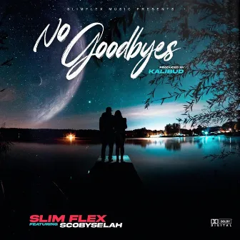 No Goodbyes by Slim Flex