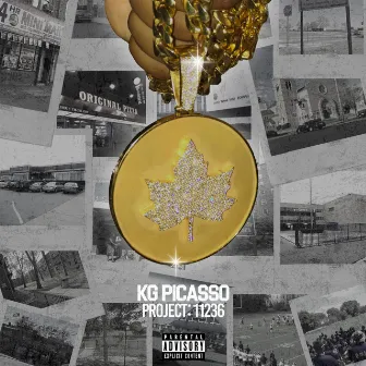 Project: 11236 by KG Picasso