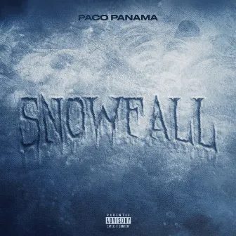 Snowfall by Paco Panama