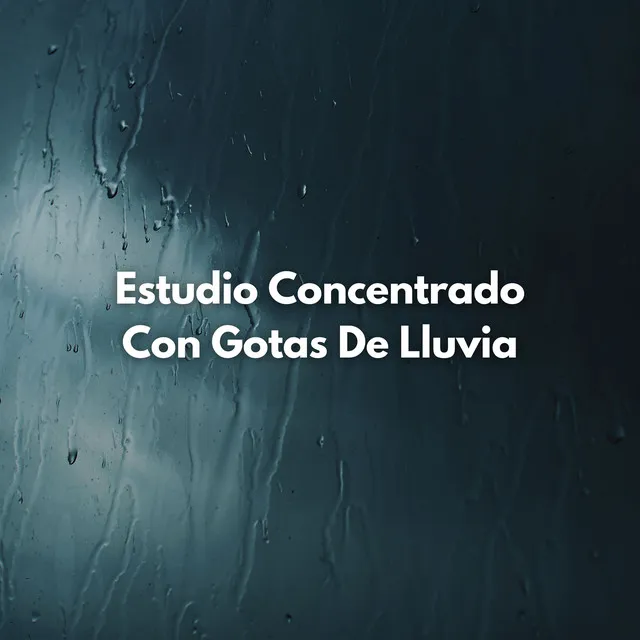 Estudio Sereno En La Tormenta