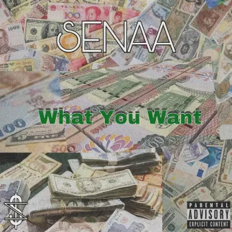 What You Want by Senaa