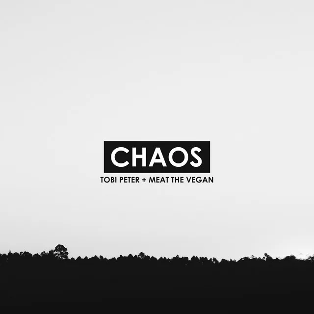 Chaos