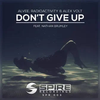 Don't Give Up (feat. Nathan Brumley) by Alvee