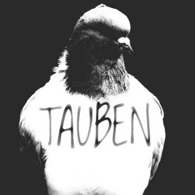 Tauben