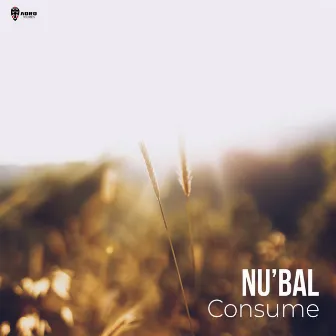 Consume by Nu'bal