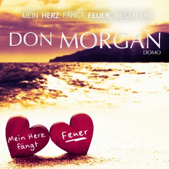 Mein Herz fängt Feuer (Wegen Dir) by Don Morgan