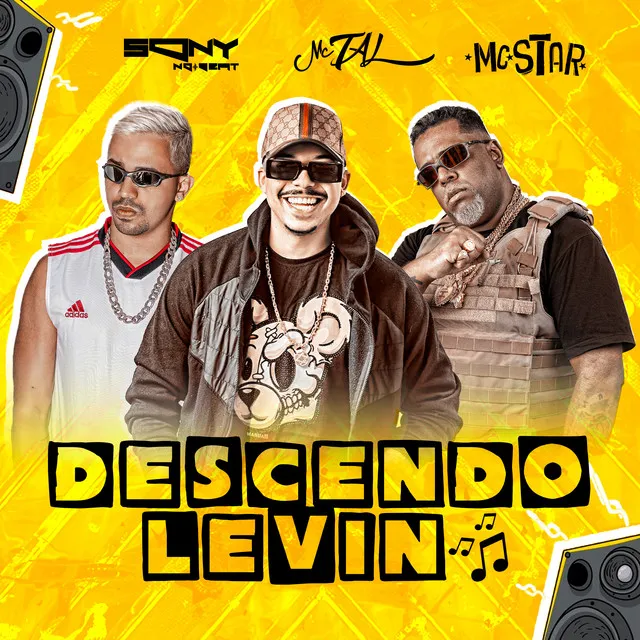 Descendo Levin