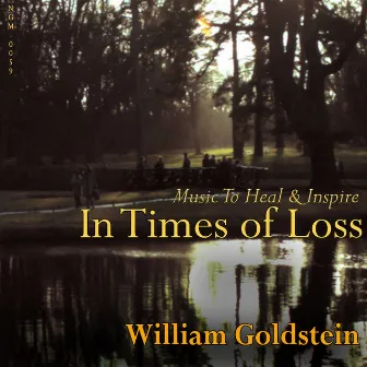 In Times Of Loss: Music To Heal & Inspire by New York Studio Orchestra