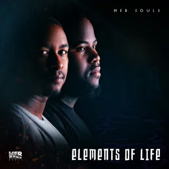 Elements Of Life by Mfr Souls