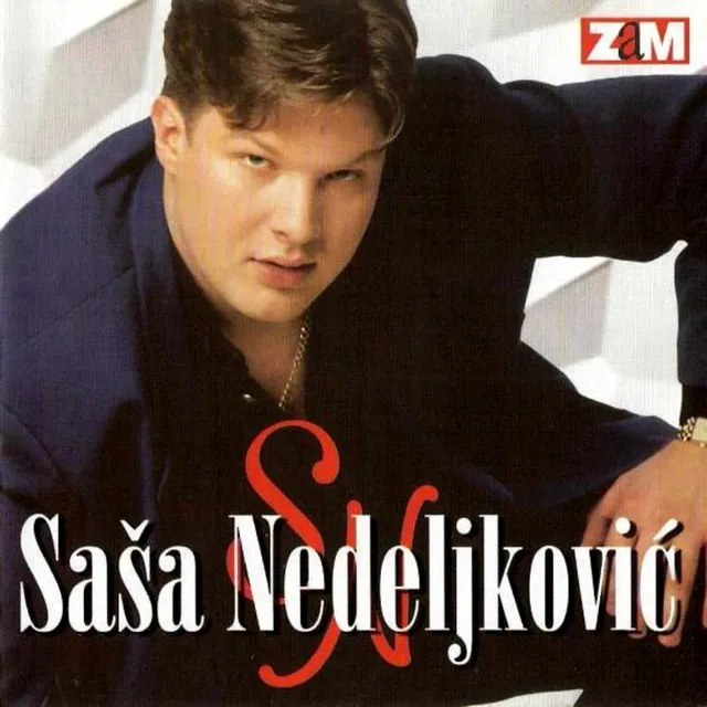 Sasa Nedeljkovic