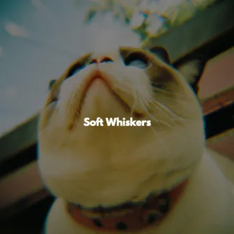 Soft Whiskers by Coffeehouse Music