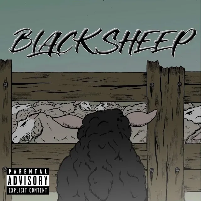 Black Sheep