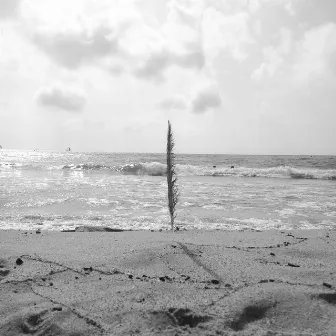 La grande onda by Fargas