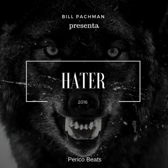 Hater by Bill Pachman