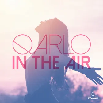 In the Air by Qarlo