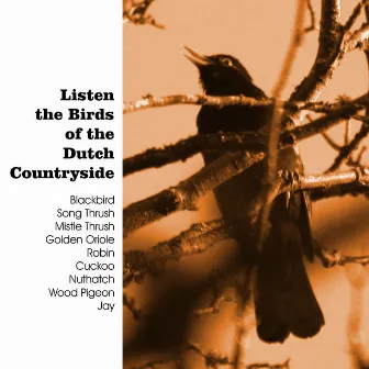 Listen the Birds of the Dutch Countryside by The Birds