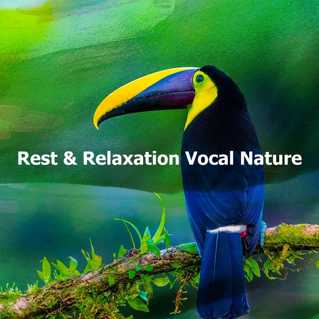 Rest & Relaxation Vocal Nature