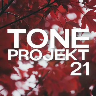 PROJEKT 21 by TONE_OFF