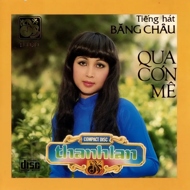 Qua Cơn Mê