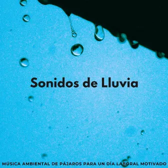 Sonidos De Lluvia: Música Ambiental De Pájaros Para Un Día Laboral Motivado by Llovió