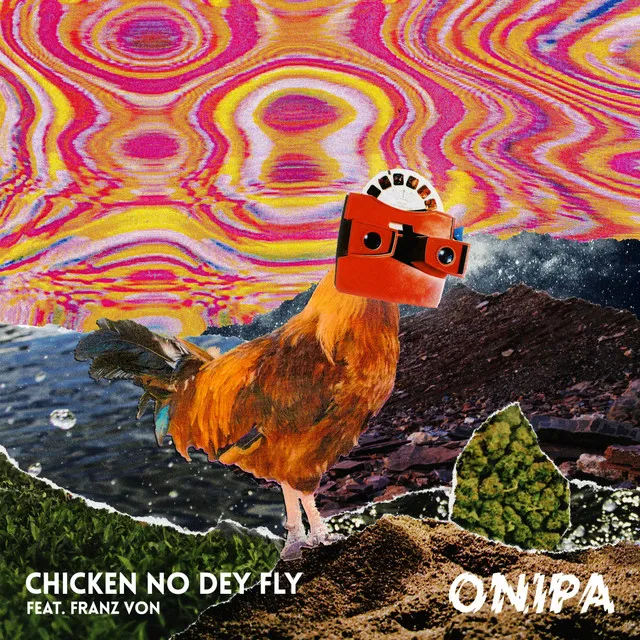 Chicken No Dey Fly