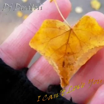 I Can't Love You by DJ Dmitrii