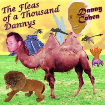 Fleas Of A Thousand Dannys by Danny Cohen